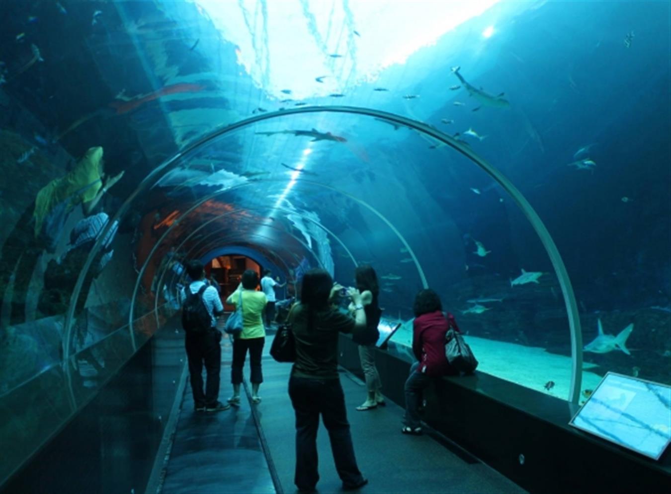 tunel interior del sea life de southbank
